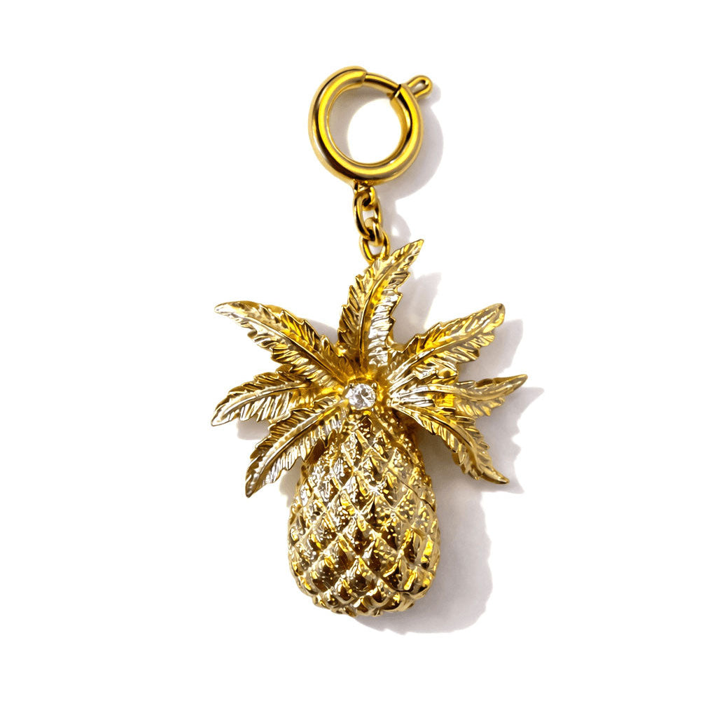Fruit Juice Charm