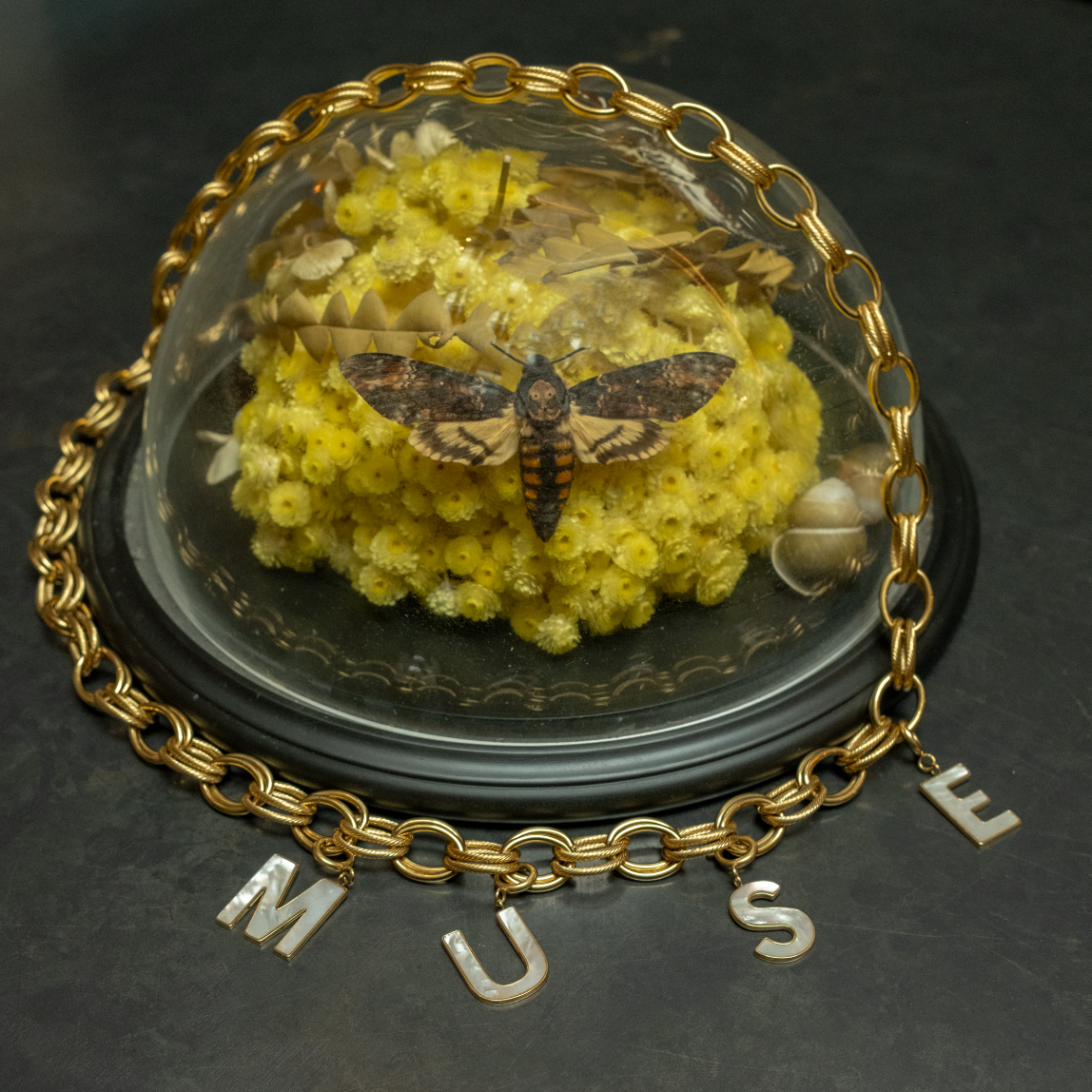 MUSE Belt & Charm Letters set